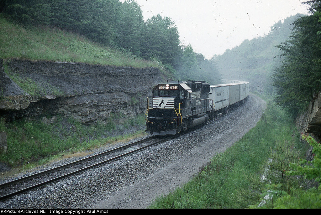 NS 7132 with TCSZ Roadrailer train